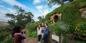 small group tour Auckland to Hobbiton