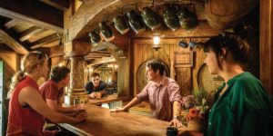 small group tour Auckland to Hobbiton