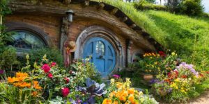 small group tour Auckland to Hobbiton