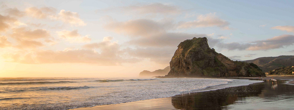Lion Rock At Piha Beach Bush And Beach