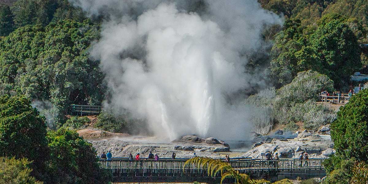 Geothermal geyser in Rotorua visited on a day trip from Auckland